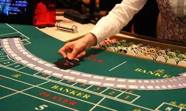 kuvip bet