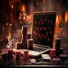 kuvip bet
