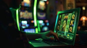 kuvip bet